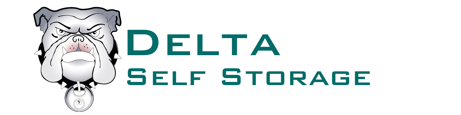 Delta Self Storage Logo